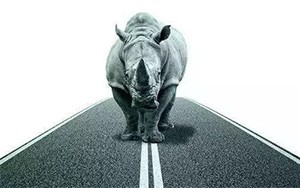 臣通觀點(diǎn)丨小心，中國產(chǎn)業(yè)園區(qū)的“灰犀?！庇謥砹?！